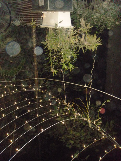SONY CYBERSHOT T500