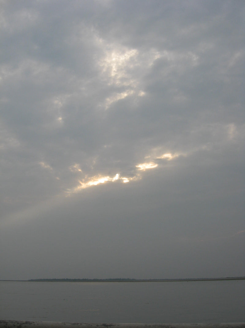 Canon Powershot A550