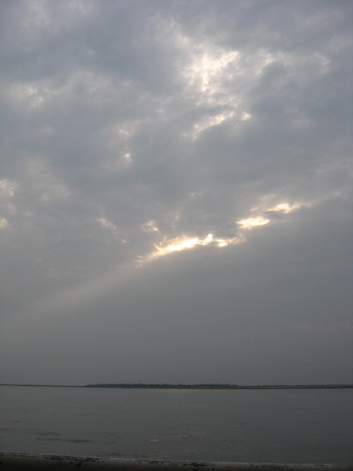 Canon Powershot A550