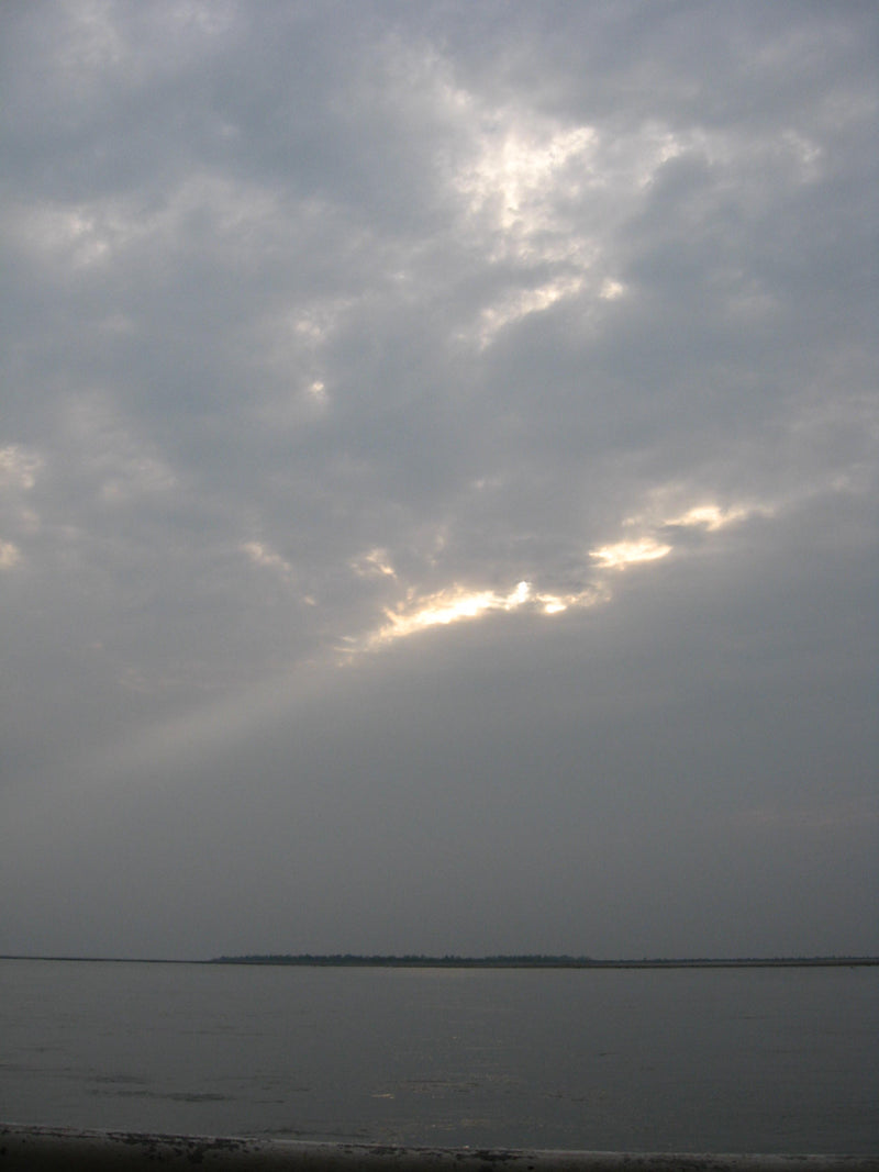 Canon Powershot A550