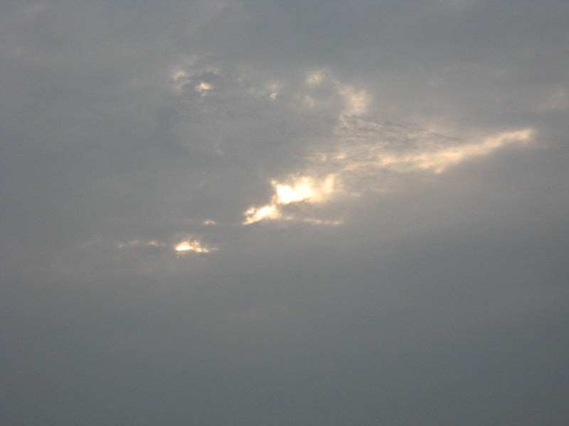 Canon Powershot A550