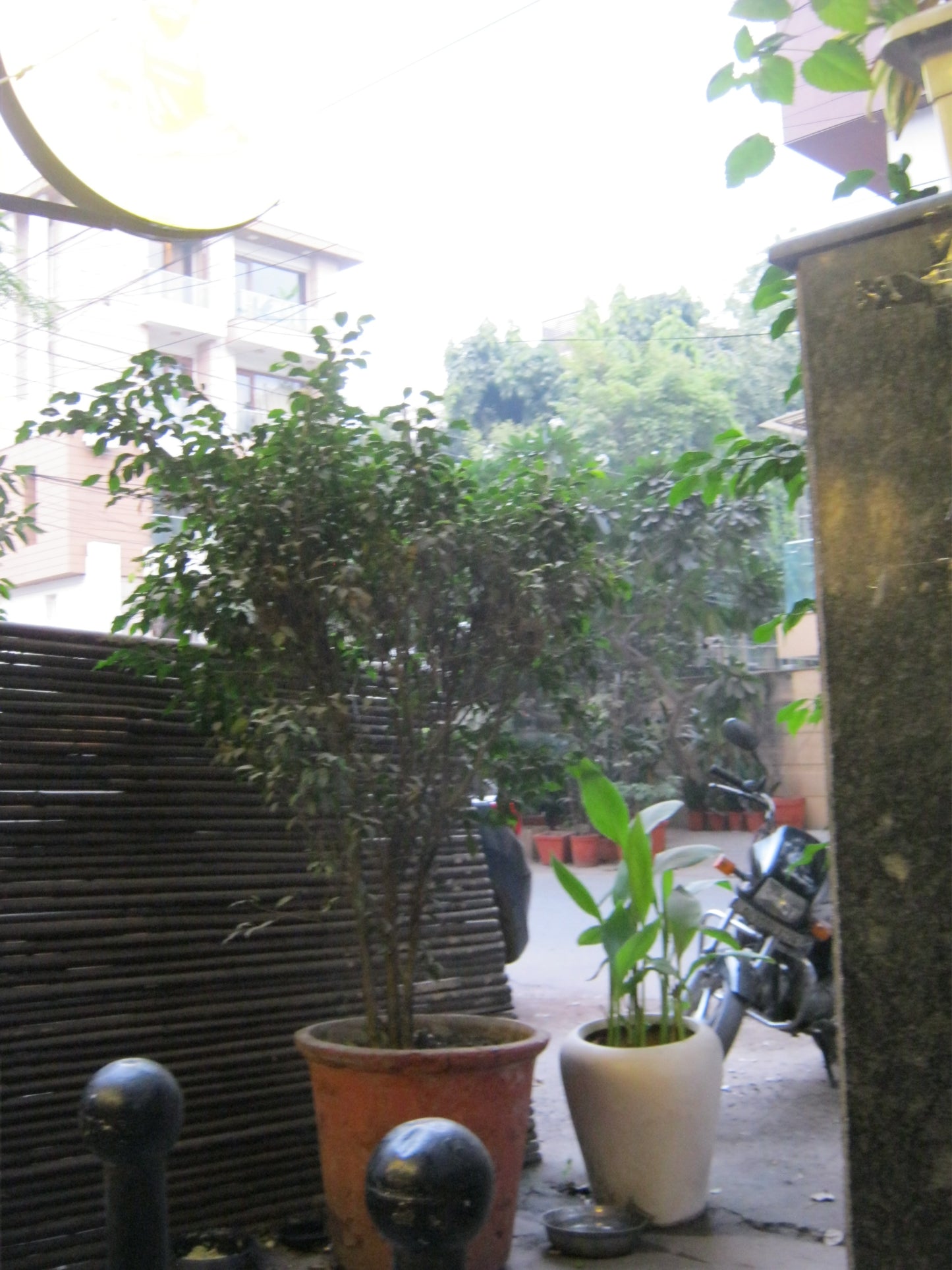 CANON POWERSHOT A495